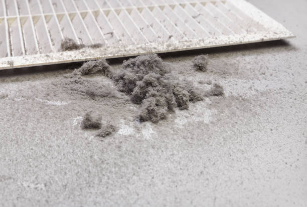 Best Affordable Duct Cleaning Services  in Vestavia Hills, AL