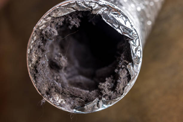 Best Affordable Air Duct Cleaning  in Vestavia Hills, AL