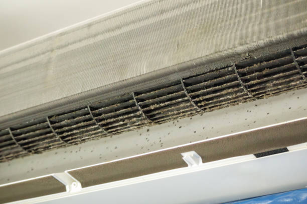 Best Professional Duct Cleaning Services  in Vestavia Hills, AL